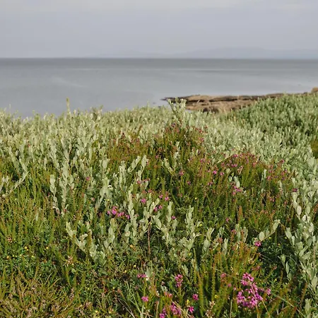 Creevy Hébergement de vacances *