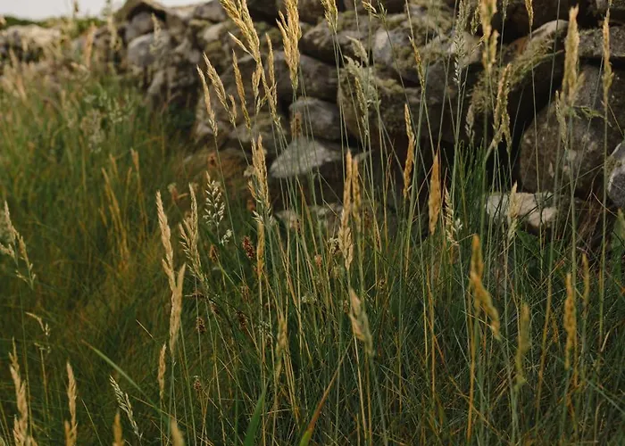 Creevy 度假居 拉斯诺拉