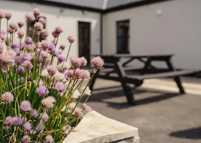 Creevy Rossnowlagh